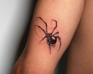 aranha tatto