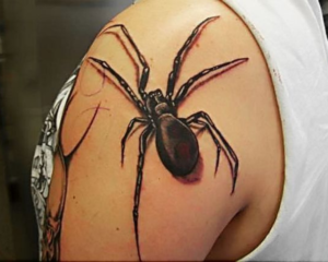 aranha tatuagem masculina