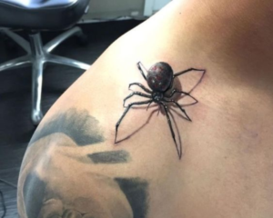 foto de tatuagem de aranha