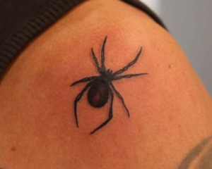 aranha 3d tatuagem