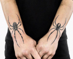 aranha para tatuagem